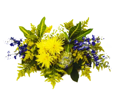Casket Spray with Chrysanthemums