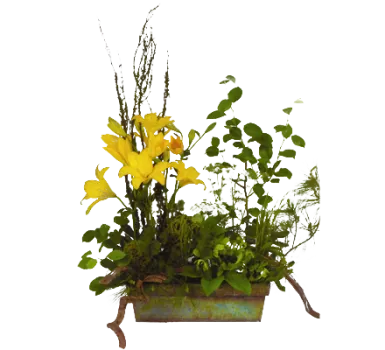 Earthy Arrangement