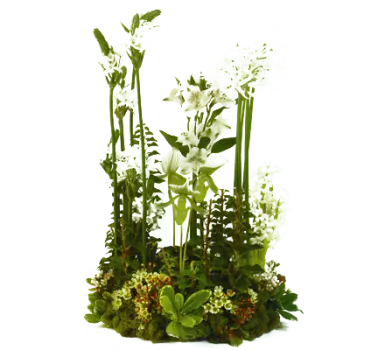 Garden-Style Table Wreath