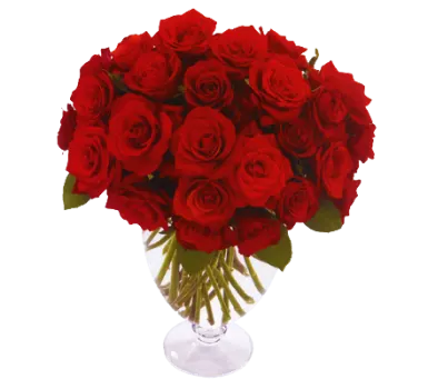Vase of Roses